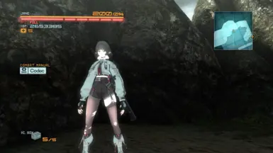Jane Doe 对战 Raiden