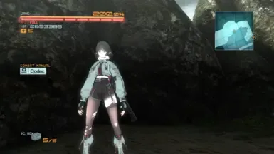 Jane Doe 对战 Raiden