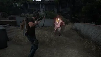 Joel 第一部分 棕色衬衫