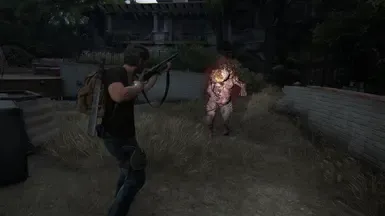 Joel 第一部分 棕色衬衫