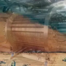 TFMG 沙尘暴