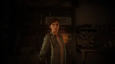 Ellie 节法兰绒