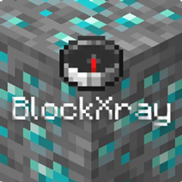 BlockXray