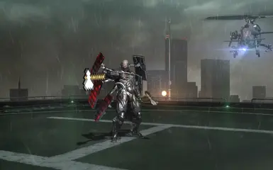Raiden 发现了钻石。