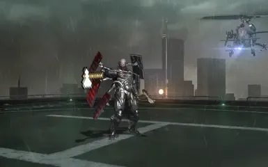 Raiden 发现了钻石。