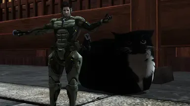 麦克斯韦猫