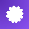 Faster Iris Shadow Mapper
