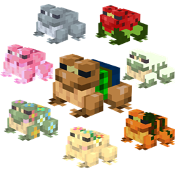 Maple's Frog Collection