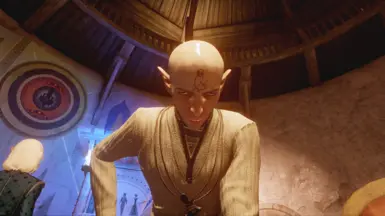 Solas 的 Dickbutt