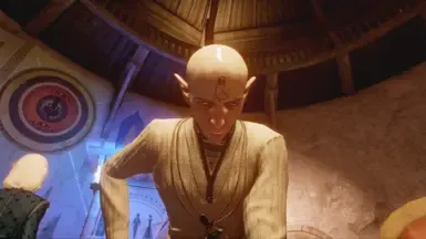 Solas 的 Dickbutt