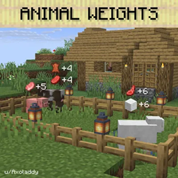 Animal Weights