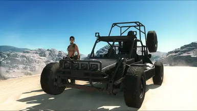 沙漠巡逻车(DPV)