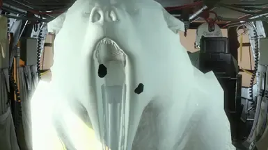 熊作为坦克