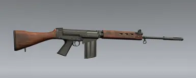 FN FAL 与 Sig 550 组合包