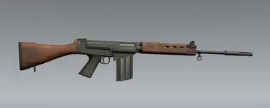 FN FAL 与 Sig 550 组合包