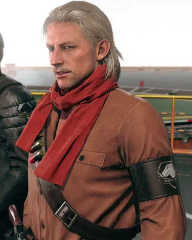 可玩的豹猫 MGS 5