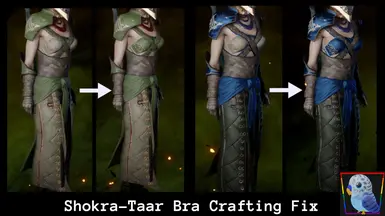 Shokra-Taar Bra Crafting Fix