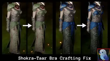 Shokra-Taar Bra Crafting Fix