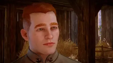 Elowyn Trevelyan - 人类男性滑块(无模组)