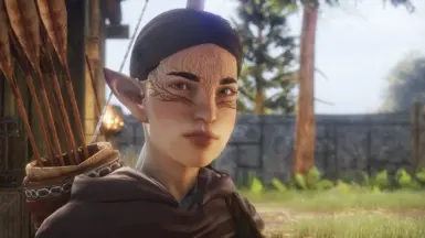 bren的ReShade