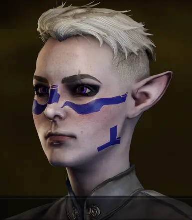 Garrus Frosty的Vallaslin