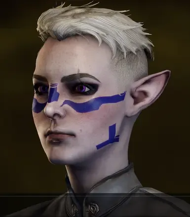 Garrus Frosty的Vallaslin