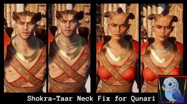 Shokra-Taar Qunari 颈部修复