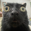 SimonUHC