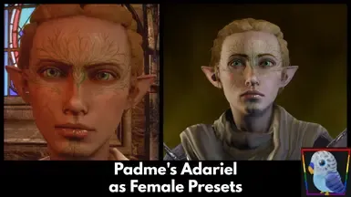 Padmes Adariel 作为女性预设
