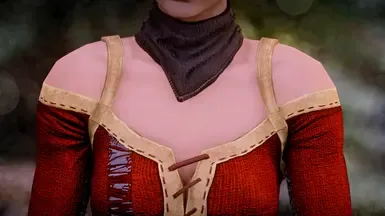 瑟拉服装修正