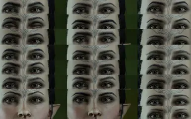 Toarie的新眉毛