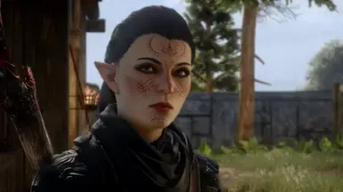Fenora Lavellan - 预设与滑块