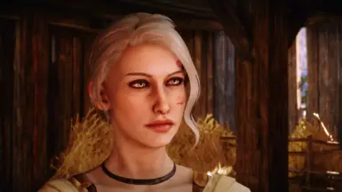 Beatrice Trevelyan - 所有职业的预设与存档