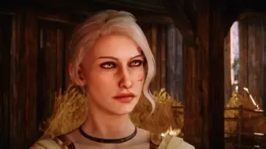 Beatrice Trevelyan - 所有职业的预设与存档