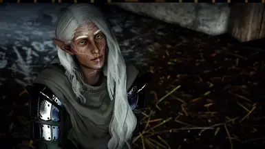 Revas Lavellan - 达利什族首选