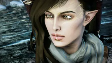 Nhel'in - EF 精灵女性 精灵盗贼 - Lavellan 滑块