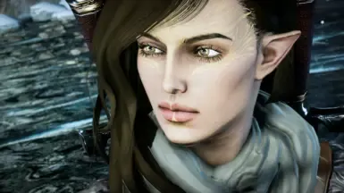 Nhel'in - EF 精灵女性 精灵盗贼 - Lavellan 滑块