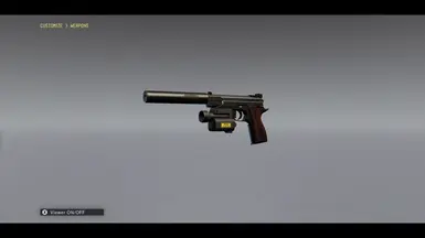 CS 武器解锁器