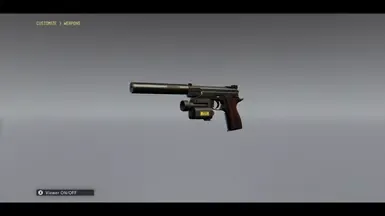CS 武器解锁器