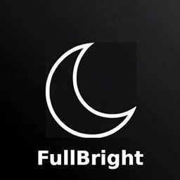 NightVisuals 全亮