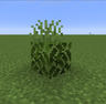Grass on Leaves