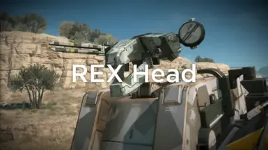 REX 头