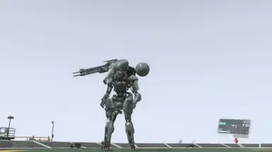 Sahelanthropus raiden