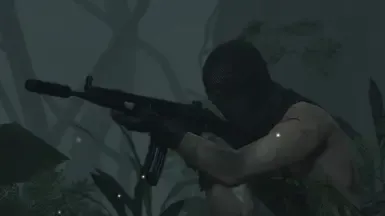 HK33(泽塔)