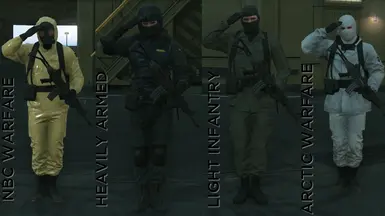 MGS1 基因组士兵(IH 附加组件)