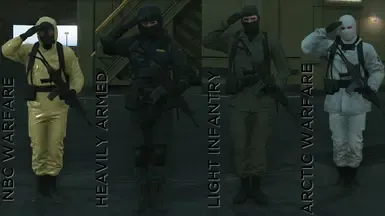 MGS1 基因组士兵(IH 附加组件)