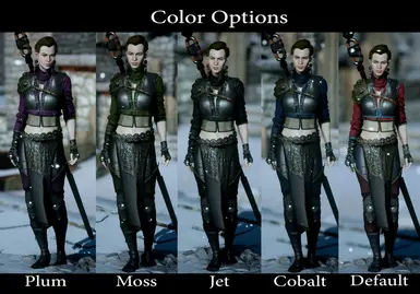 Ciri DLC 服装与发型