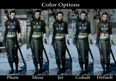 Ciri DLC 服装与发型