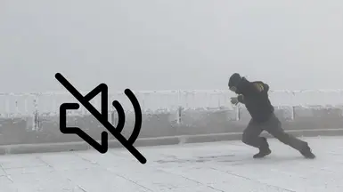 MGO3用风噪抑制器