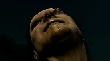 P.T. 诱饵
